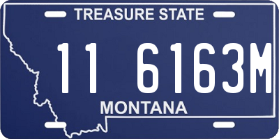 MT license plate 116163M
