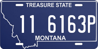 MT license plate 116163P