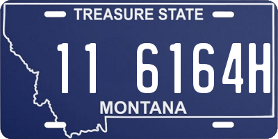 MT license plate 116164H