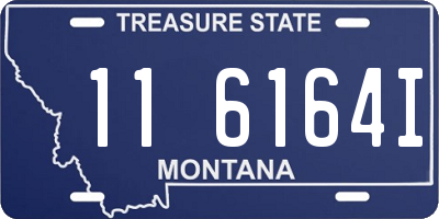 MT license plate 116164I