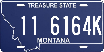MT license plate 116164K