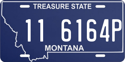 MT license plate 116164P