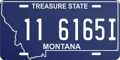 MT license plate 116165I