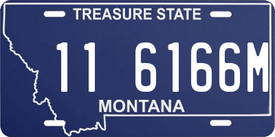 MT license plate 116166M