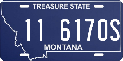 MT license plate 116170S