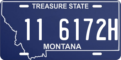 MT license plate 116172H