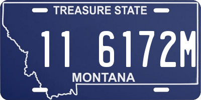 MT license plate 116172M