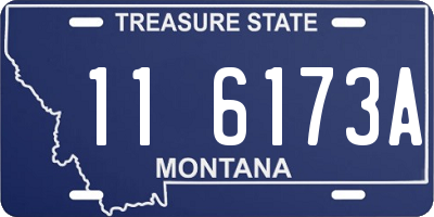 MT license plate 116173A