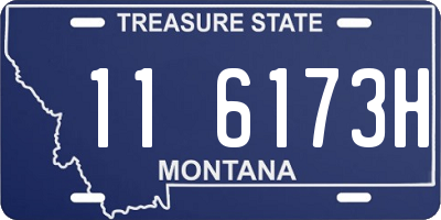 MT license plate 116173H