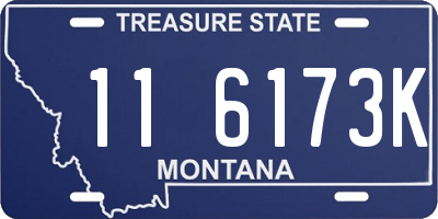 MT license plate 116173K