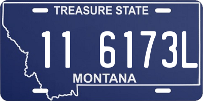 MT license plate 116173L