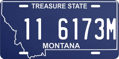 MT license plate 116173M