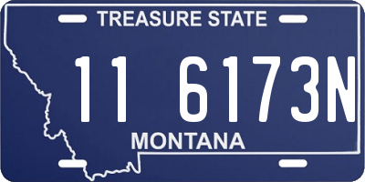 MT license plate 116173N