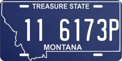 MT license plate 116173P