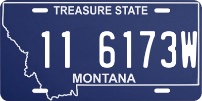 MT license plate 116173W