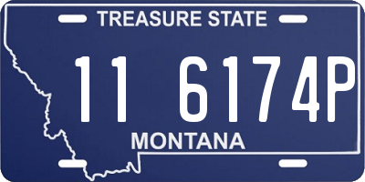 MT license plate 116174P