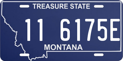 MT license plate 116175E