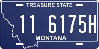 MT license plate 116175H