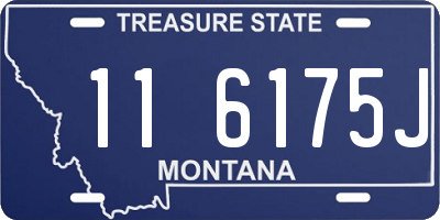 MT license plate 116175J