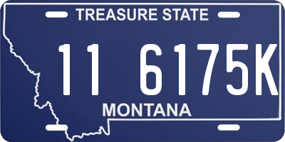 MT license plate 116175K