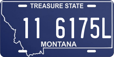 MT license plate 116175L