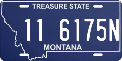 MT license plate 116175N