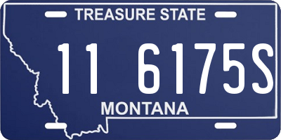 MT license plate 116175S