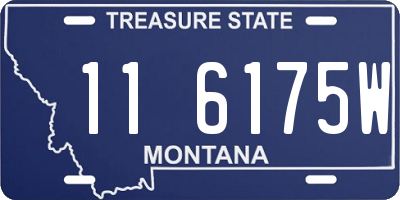 MT license plate 116175W