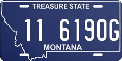 MT license plate 116190G
