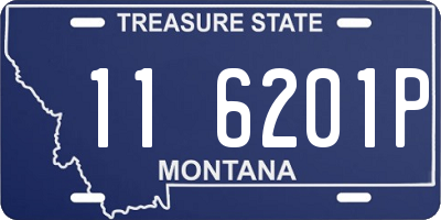 MT license plate 116201P