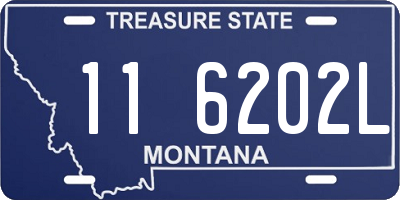 MT license plate 116202L