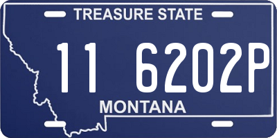 MT license plate 116202P