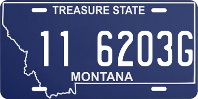 MT license plate 116203G