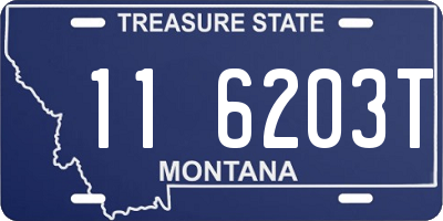 MT license plate 116203T