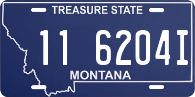 MT license plate 116204I