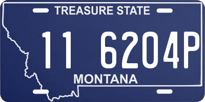 MT license plate 116204P