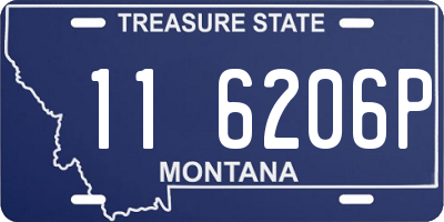 MT license plate 116206P