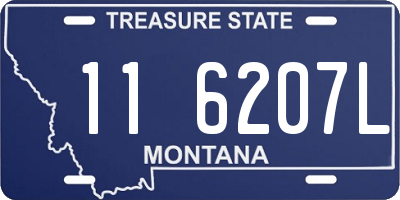 MT license plate 116207L