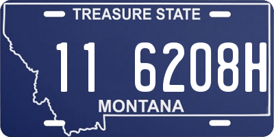 MT license plate 116208H