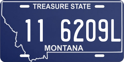 MT license plate 116209L