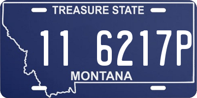 MT license plate 116217P