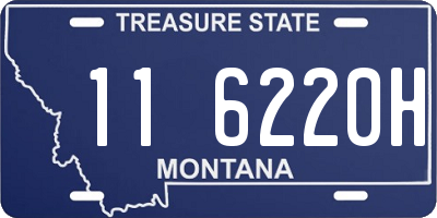 MT license plate 116220H