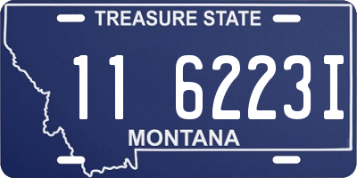 MT license plate 116223I