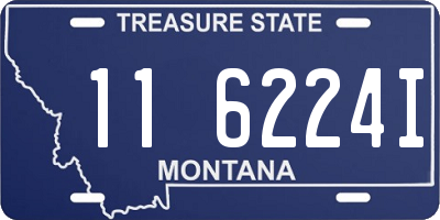 MT license plate 116224I