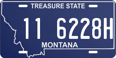 MT license plate 116228H