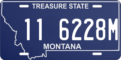 MT license plate 116228M