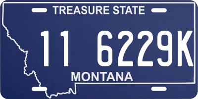 MT license plate 116229K