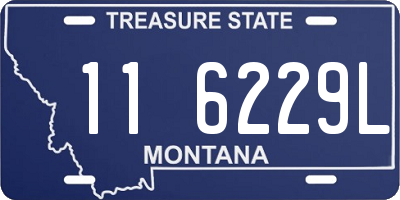 MT license plate 116229L
