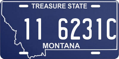 MT license plate 116231C