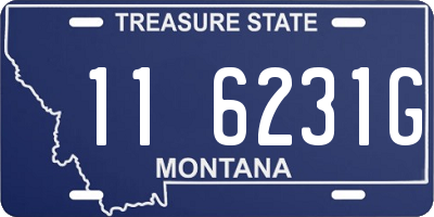 MT license plate 116231G